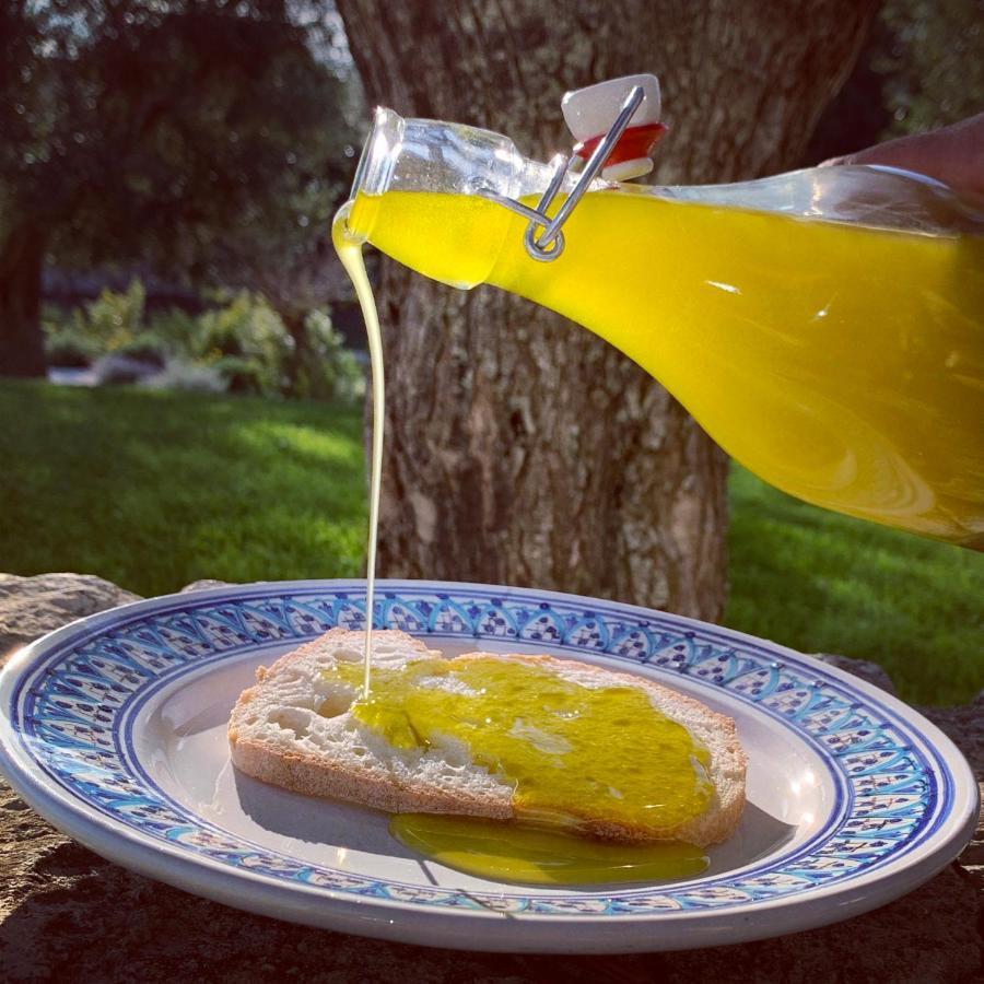 Villa Moresca Dei Trulli Fernando オストゥーニ エクステリア 写真
