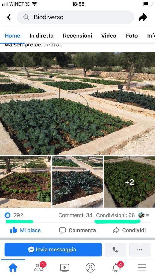 Villa Moresca Dei Trulli Fernando オストゥーニ エクステリア 写真