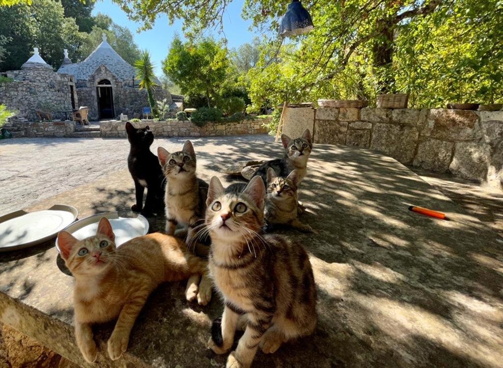 Villa Moresca Dei Trulli Fernando オストゥーニ エクステリア 写真