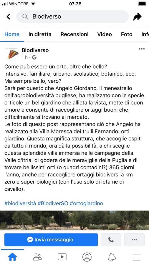 Villa Moresca Dei Trulli Fernando オストゥーニ エクステリア 写真