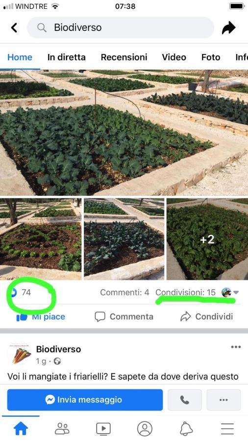 Villa Moresca Dei Trulli Fernando オストゥーニ エクステリア 写真